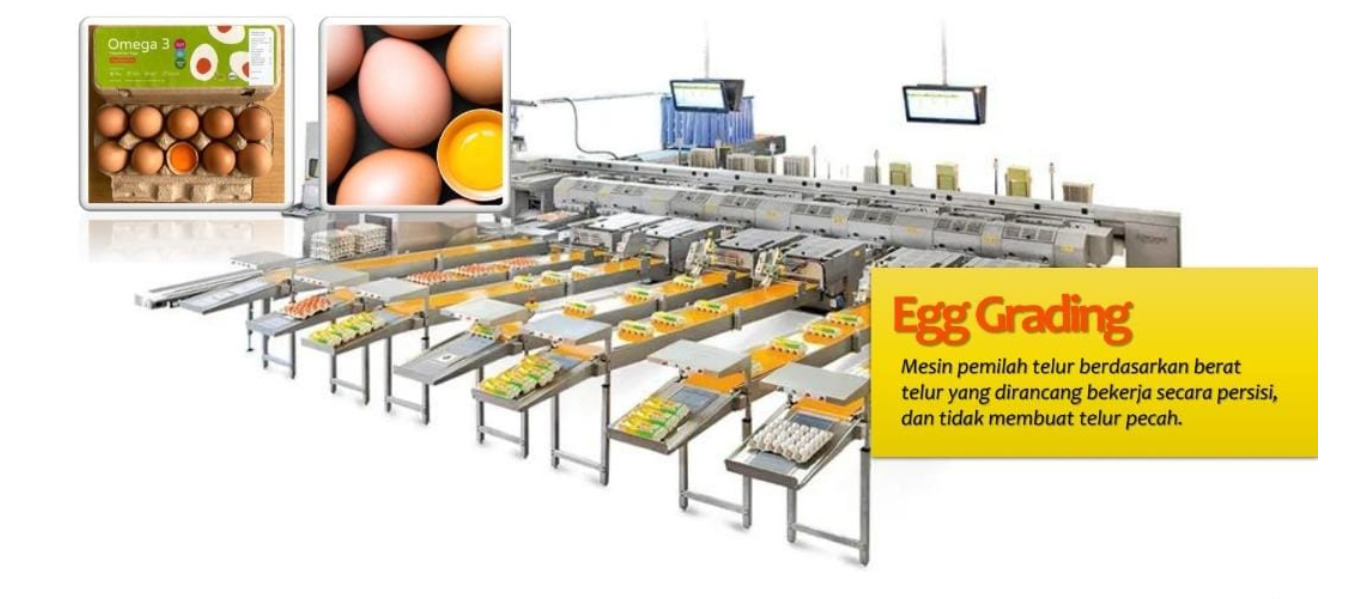 Egg separator machine