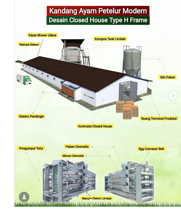 Cage management services